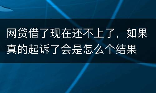 网贷借了现在还不上了，如果真的起诉了会是怎么个结果