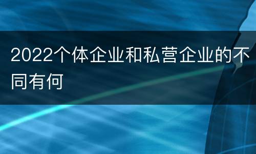 2022个体企业和私营企业的不同有何