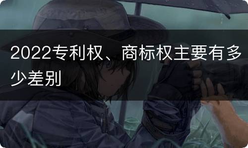 2022专利权、商标权主要有多少差别