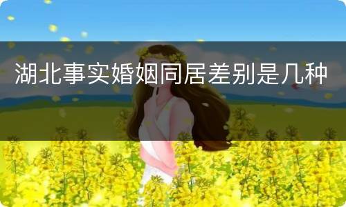 湖北事实婚姻同居差别是几种