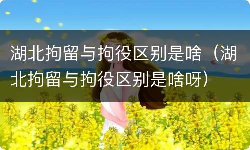 湖北拘留与拘役区别是啥（湖北拘留与拘役区别是啥呀）