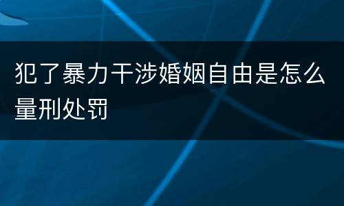 犯了暴力干涉婚姻自由是怎么量刑处罚