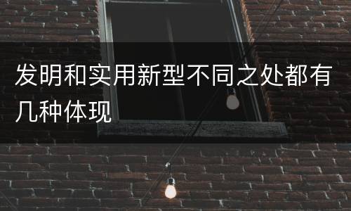 发明和实用新型不同之处都有几种体现