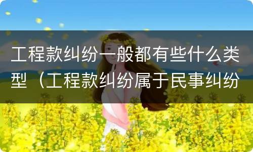 工程款纠纷一般都有些什么类型（工程款纠纷属于民事纠纷吗）