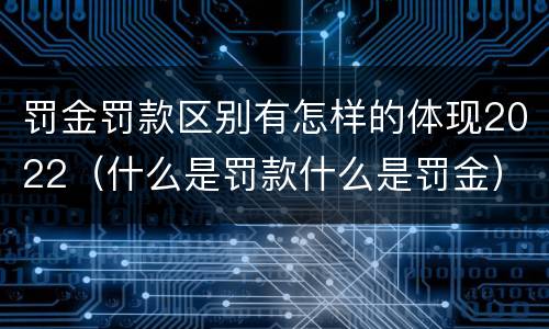 罚金罚款区别有怎样的体现2022（什么是罚款什么是罚金）
