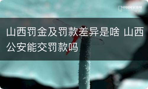 山西罚金及罚款差异是啥 山西公安能交罚款吗