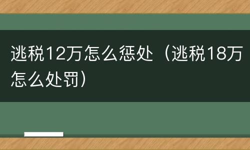 逃税12万怎么惩处（逃税18万怎么处罚）