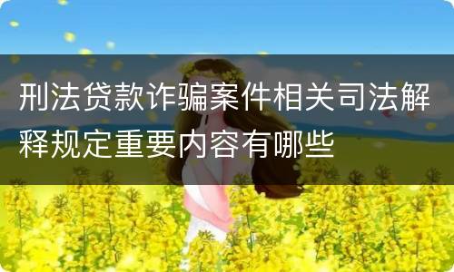 刑法贷款诈骗案件相关司法解释规定重要内容有哪些