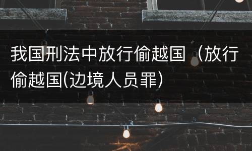 我国刑法中放行偷越国（放行偷越国(边境人员罪）