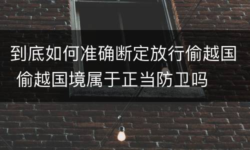 到底如何准确断定放行偷越国 偷越国境属于正当防卫吗