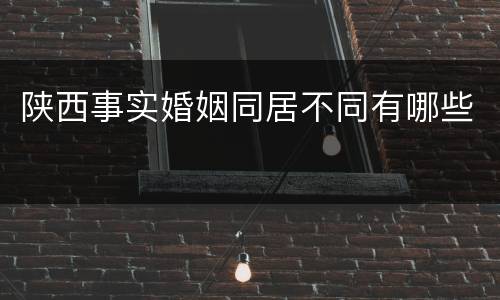 陕西事实婚姻同居不同有哪些