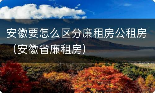 安徽要怎么区分廉租房公租房（安徽省廉租房）