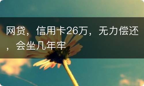 网贷，信用卡26万，无力偿还，会坐几年牢