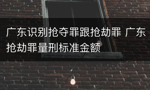 广东识别抢夺罪跟抢劫罪 广东抢劫罪量刑标准金额