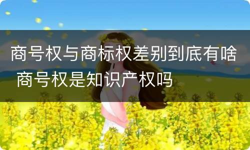 商号权与商标权差别到底有啥 商号权是知识产权吗