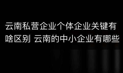 云南私营企业个体企业关键有啥区别 云南的中小企业有哪些