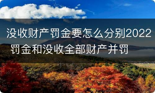 没收财产罚金要怎么分别2022 罚金和没收全部财产并罚