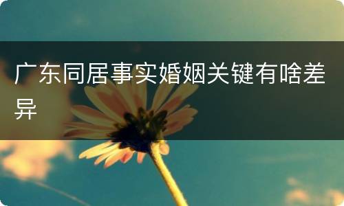 广东同居事实婚姻关键有啥差异