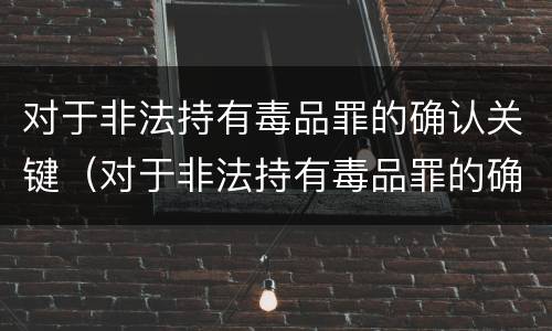 对于非法持有毒品罪的确认关键（对于非法持有毒品罪的确认关键是什么）