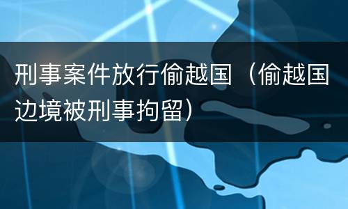 刑事案件放行偷越国（偷越国边境被刑事拘留）