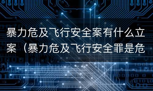 暴力危及飞行安全案有什么立案（暴力危及飞行安全罪是危险犯吗）