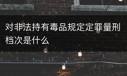 对非法持有毒品规定定罪量刑档次是什么