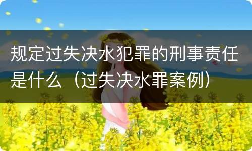 规定过失决水犯罪的刑事责任是什么（过失决水罪案例）