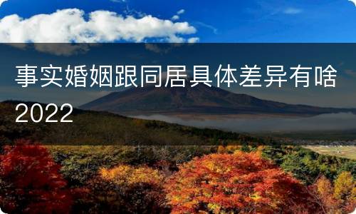 事实婚姻跟同居具体差异有啥2022