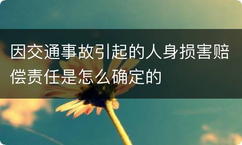 因交通事故引起的人身损害赔偿责任是怎么确定的