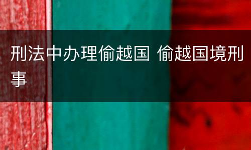 刑法中办理偷越国 偷越国境刑事