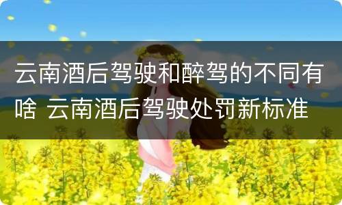 云南酒后驾驶和醉驾的不同有啥 云南酒后驾驶处罚新标准