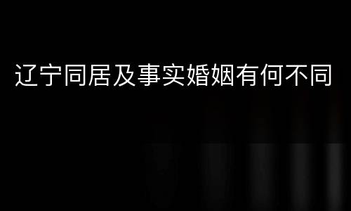 辽宁同居及事实婚姻有何不同