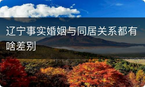 辽宁事实婚姻与同居关系都有啥差别