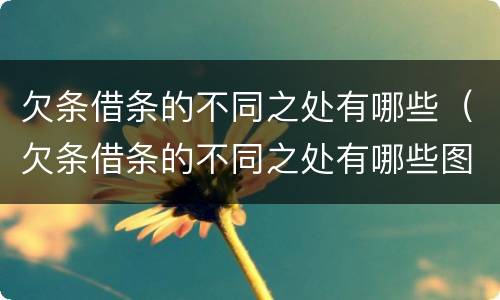 欠条借条的不同之处有哪些（欠条借条的不同之处有哪些图片）