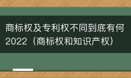 商标权及专利权不同到底有何2022（商标权和知识产权）