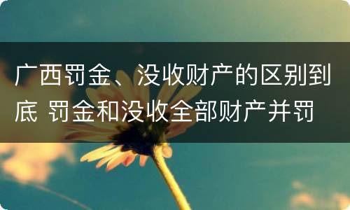 广西罚金、没收财产的区别到底 罚金和没收全部财产并罚