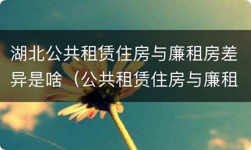 湖北公共租赁住房与廉租房差异是啥（公共租赁住房与廉租房的区别）