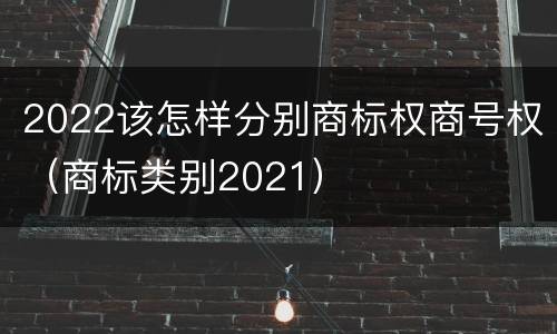 2022该怎样分别商标权商号权（商标类别2021）