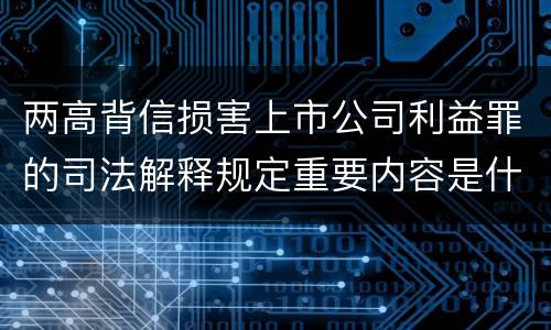 两高背信损害上市公司利益罪的司法解释规定重要内容是什么