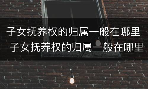 子女抚养权的归属一般在哪里 子女抚养权的归属一般在哪里查询