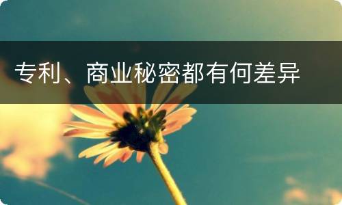 专利、商业秘密都有何差异