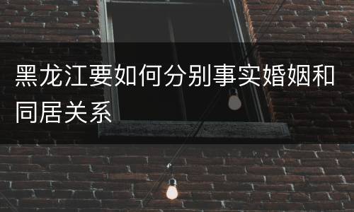 黑龙江要如何分别事实婚姻和同居关系