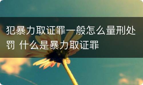 犯暴力取证罪一般怎么量刑处罚 什么是暴力取证罪