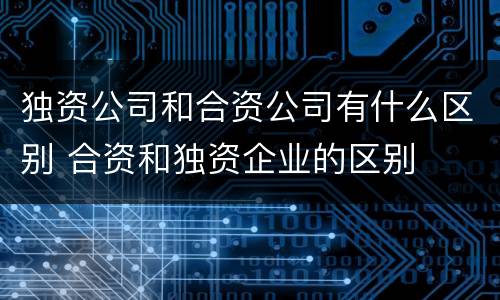 独资公司和合资公司有什么区别 合资和独资企业的区别