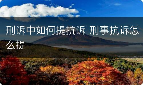 刑诉中如何提抗诉 刑事抗诉怎么提