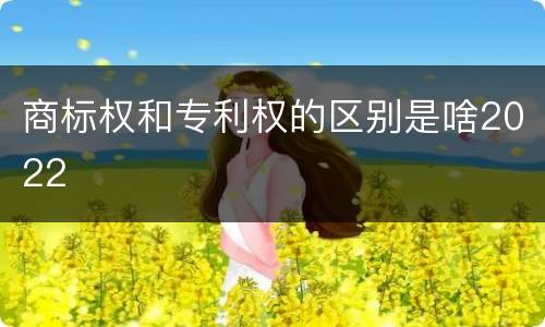 商标权和专利权的区别是啥2022