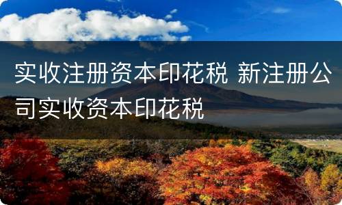 实收注册资本印花税 新注册公司实收资本印花税
