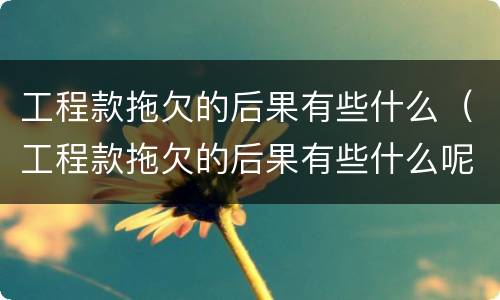 工程款拖欠的后果有些什么（工程款拖欠的后果有些什么呢）