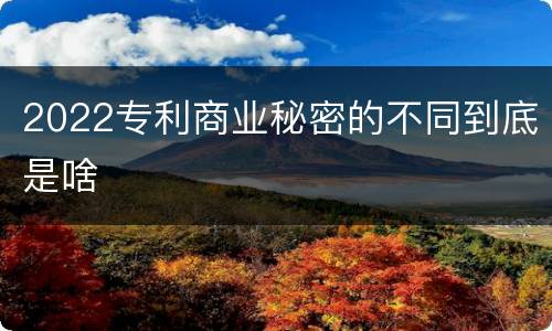 2022专利商业秘密的不同到底是啥