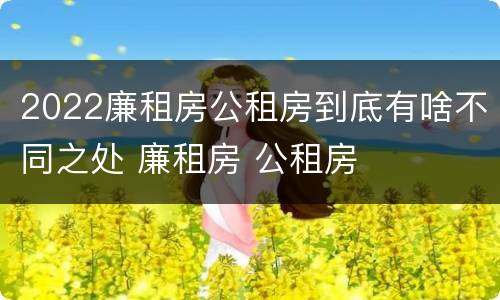 2022廉租房公租房到底有啥不同之处 廉租房 公租房